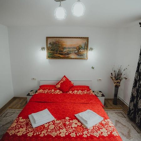 Casa Andreea Si Grigore Ursu Borşa Extérieur photo