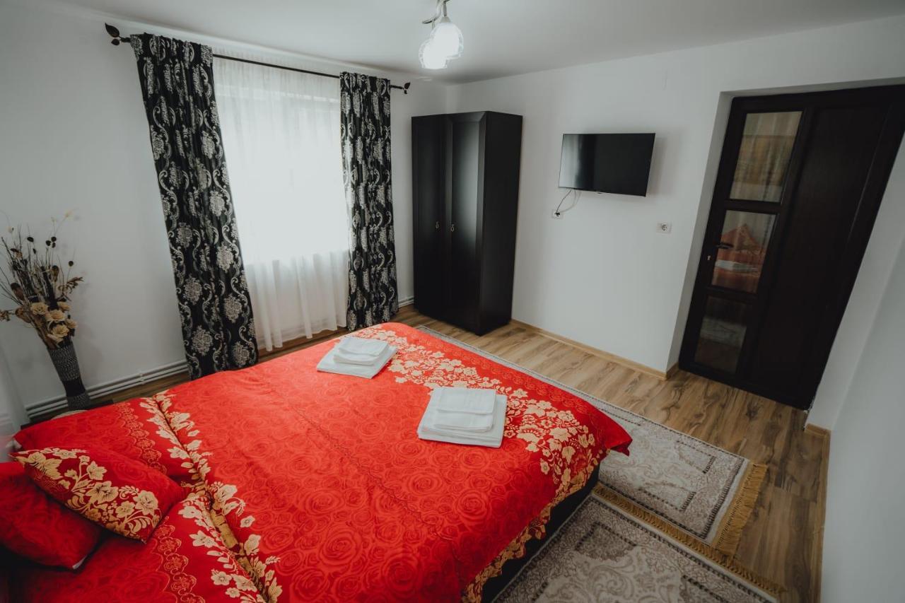 Casa Andreea Si Grigore Ursu Borşa Extérieur photo
