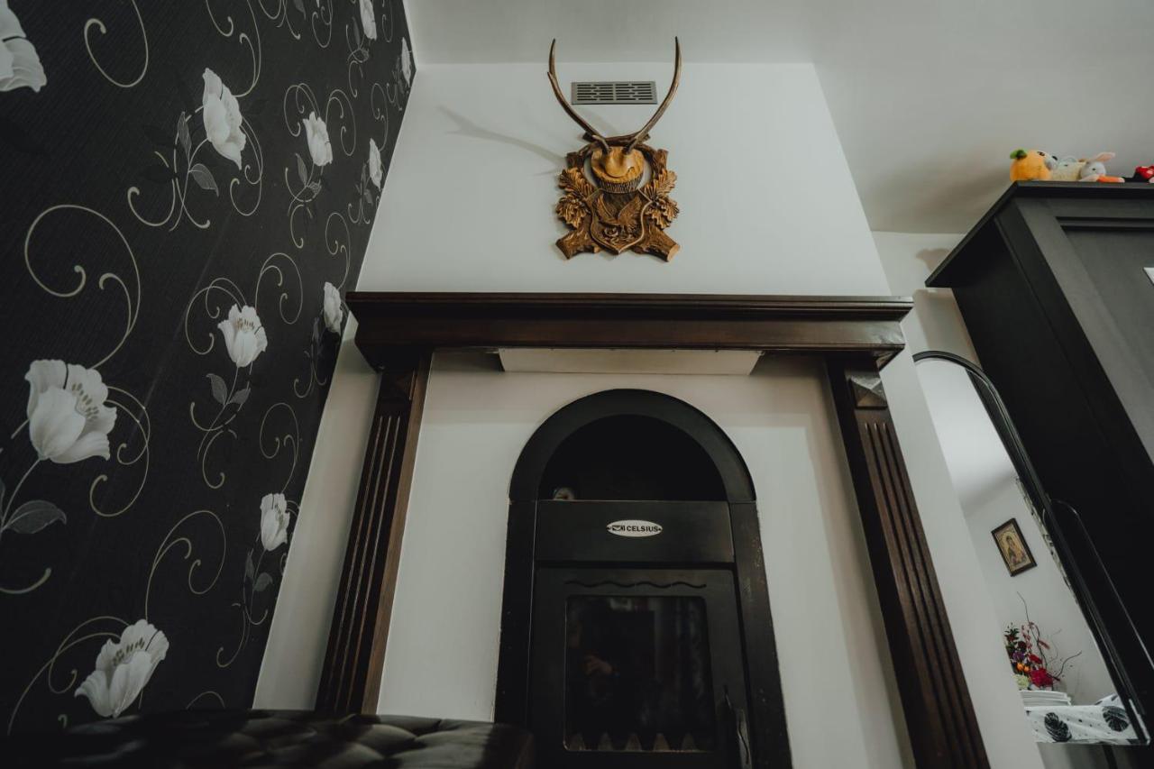 Casa Andreea Si Grigore Ursu Borşa Extérieur photo
