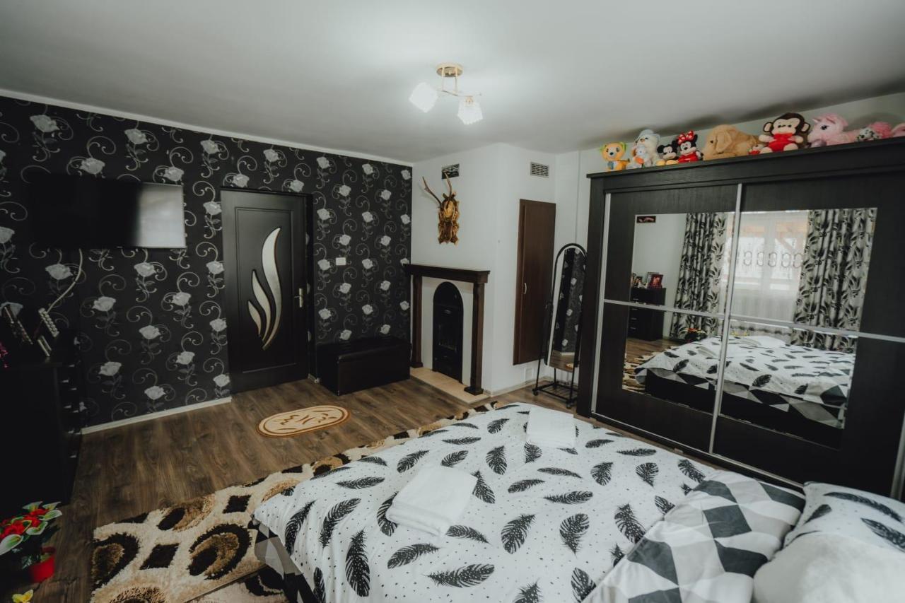Casa Andreea Si Grigore Ursu Borşa Extérieur photo