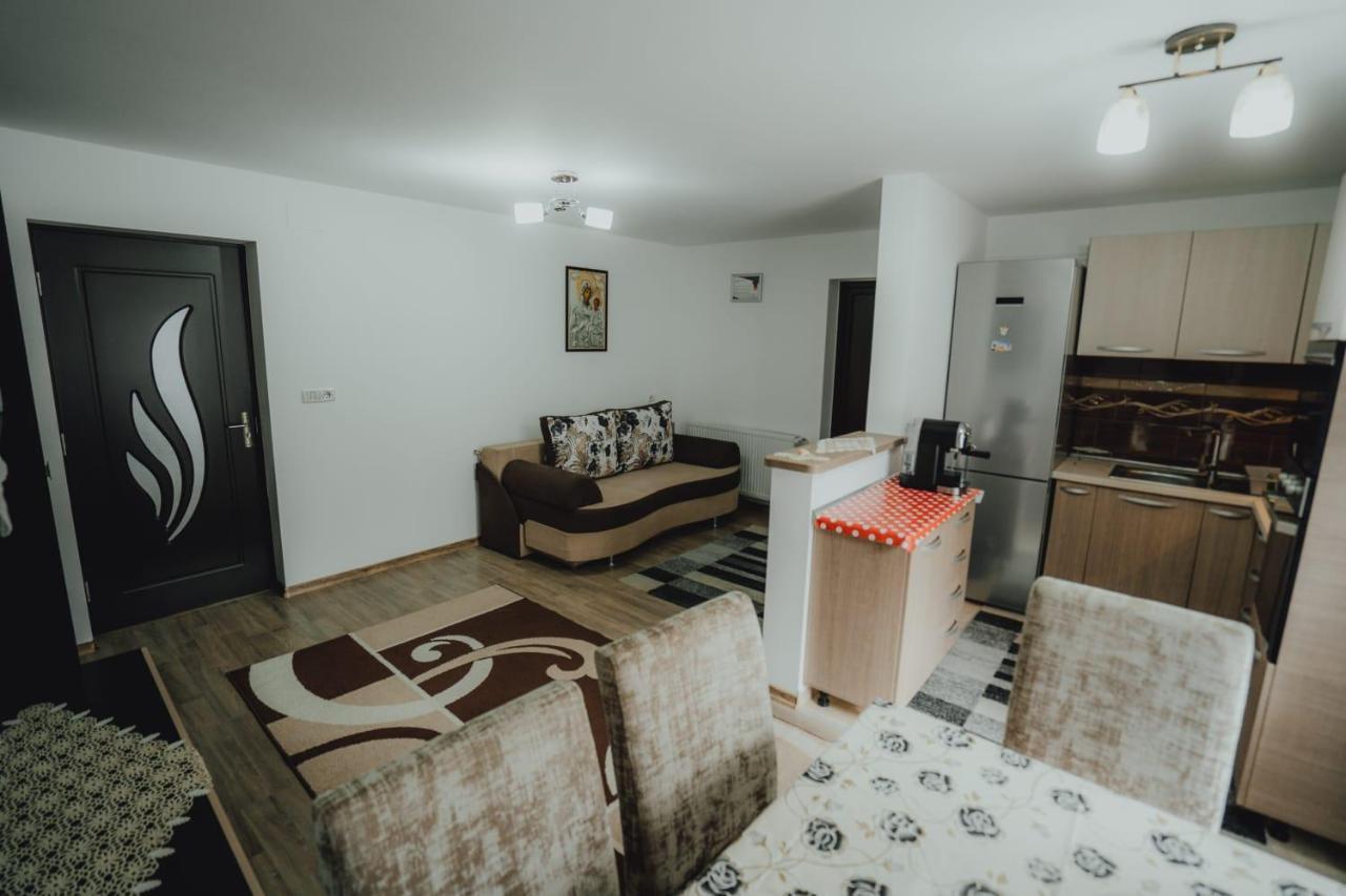 Casa Andreea Si Grigore Ursu Borşa Extérieur photo