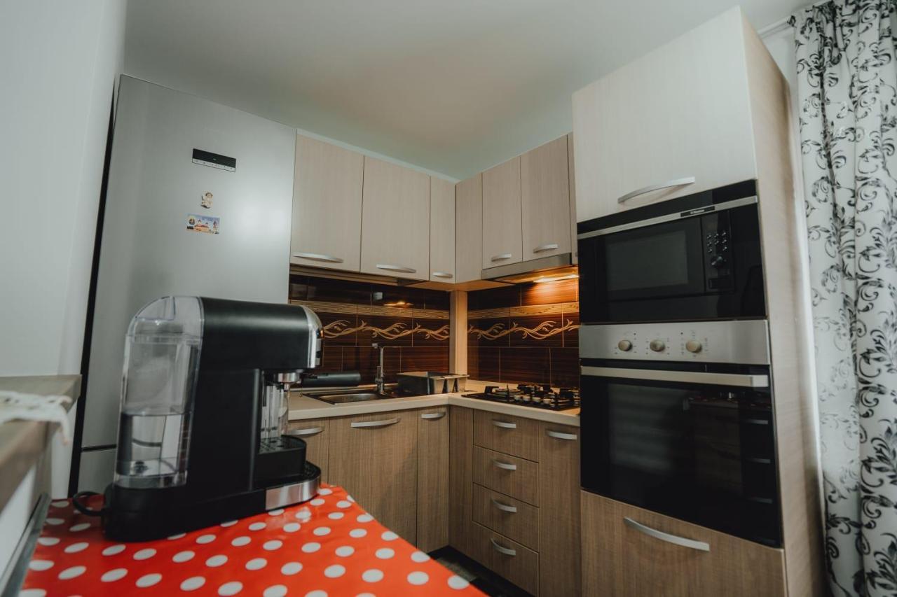 Casa Andreea Si Grigore Ursu Borşa Extérieur photo
