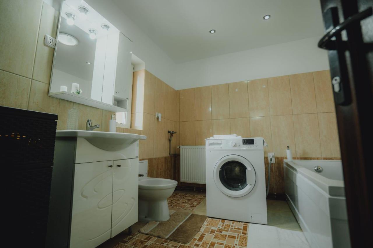 Casa Andreea Si Grigore Ursu Borşa Extérieur photo