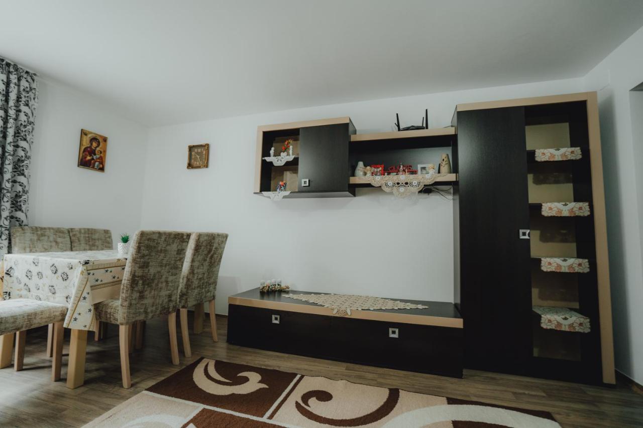 Casa Andreea Si Grigore Ursu Borşa Extérieur photo