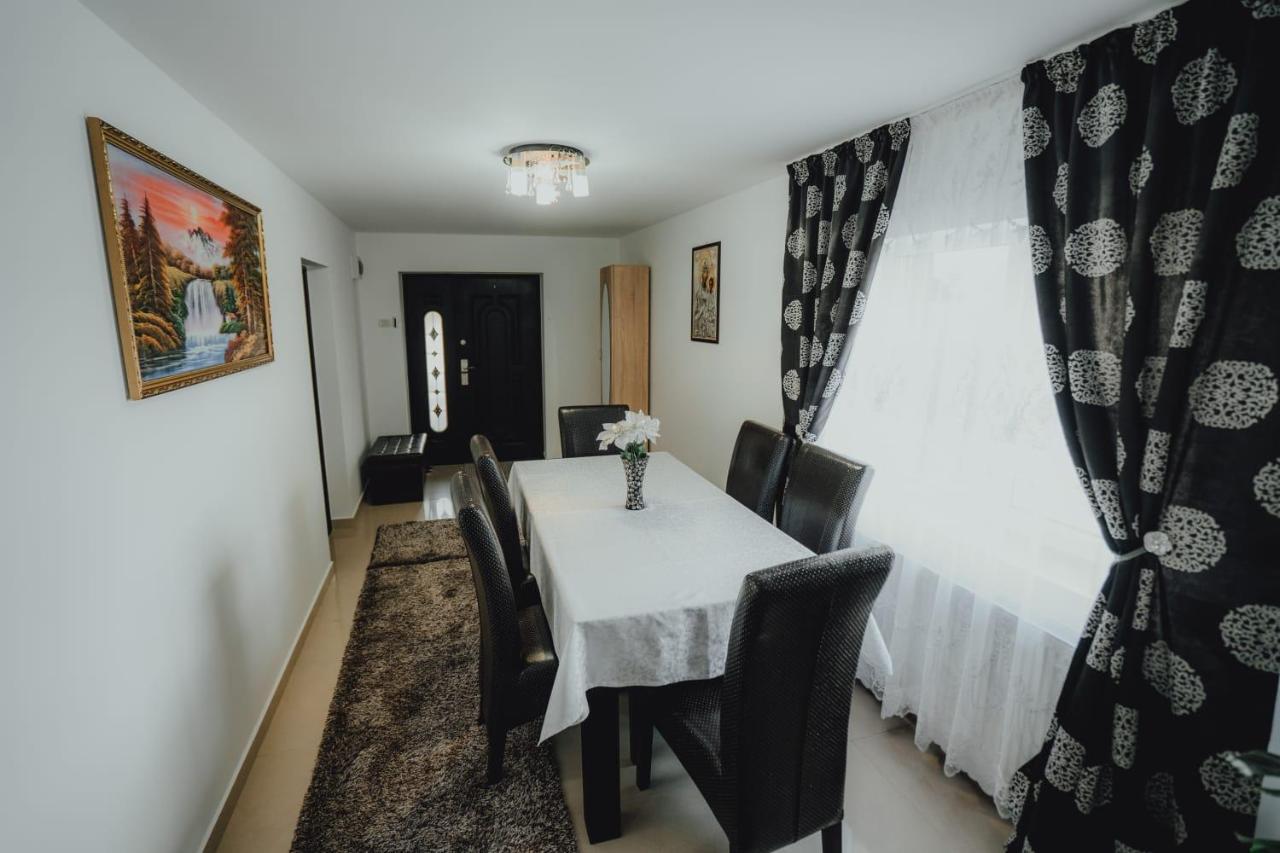 Casa Andreea Si Grigore Ursu Borşa Extérieur photo