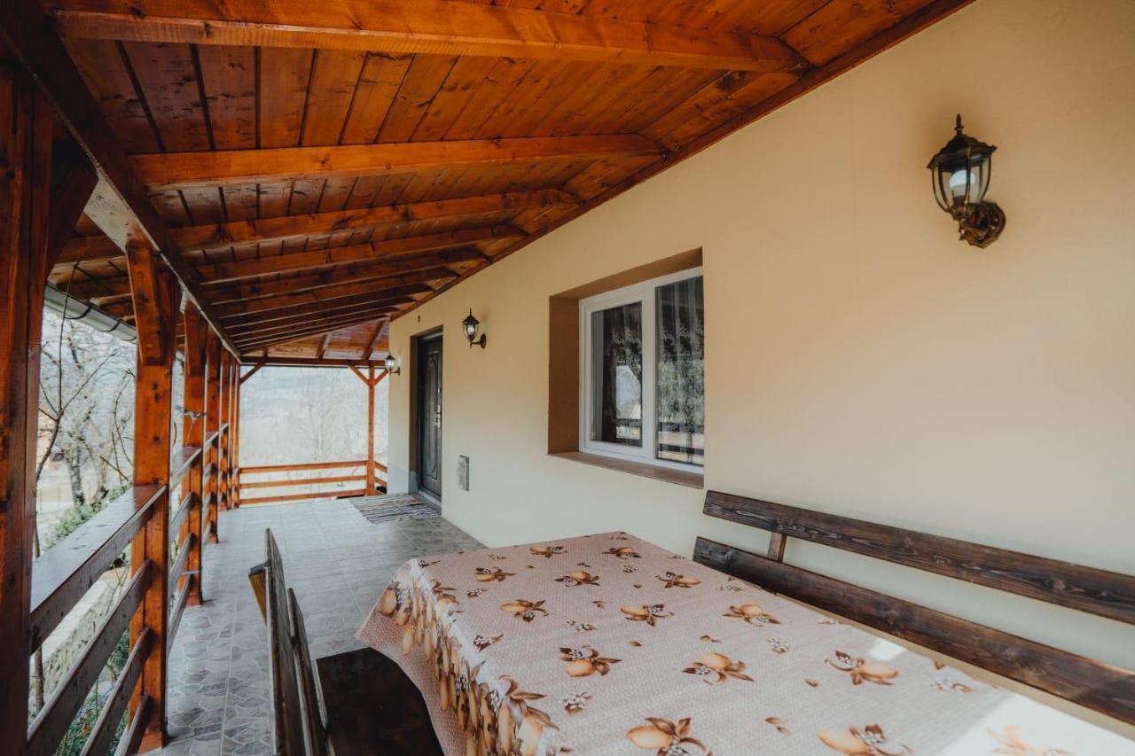 Casa Andreea Si Grigore Ursu Borşa Extérieur photo