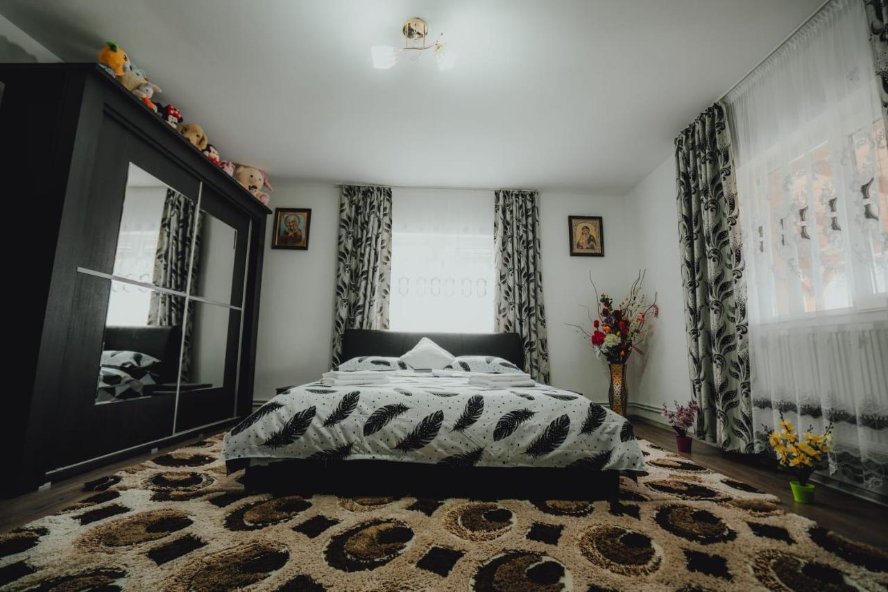 Casa Andreea Si Grigore Ursu Borşa Extérieur photo