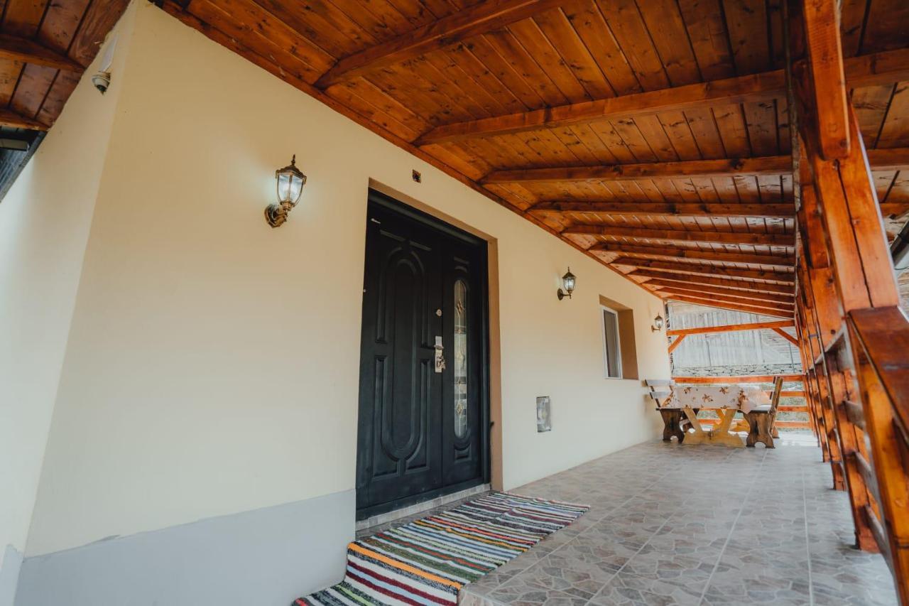 Casa Andreea Si Grigore Ursu Borşa Extérieur photo