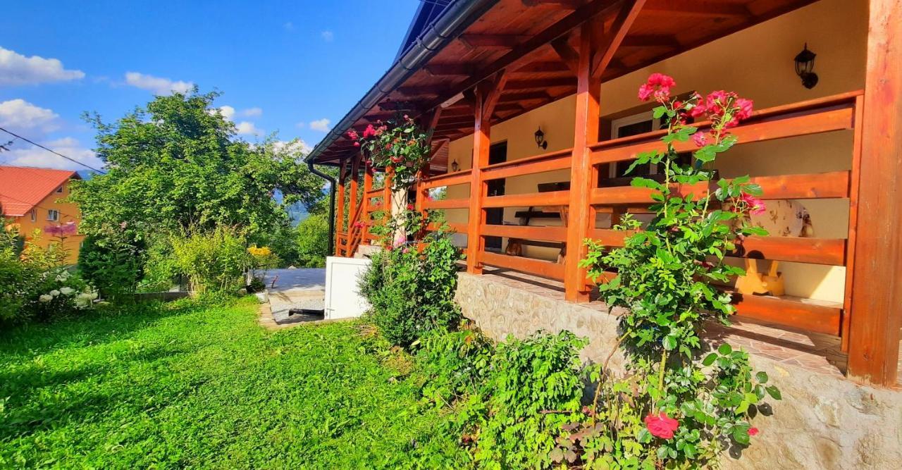 Casa Andreea Si Grigore Ursu Borşa Extérieur photo
