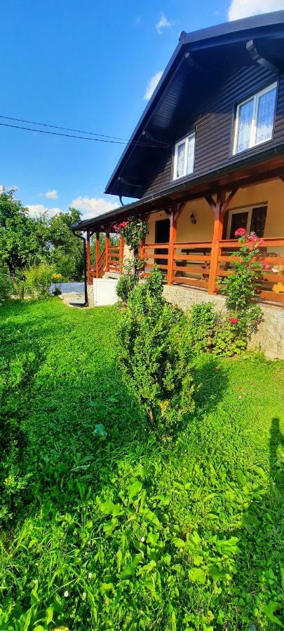 Casa Andreea Si Grigore Ursu Borşa Extérieur photo