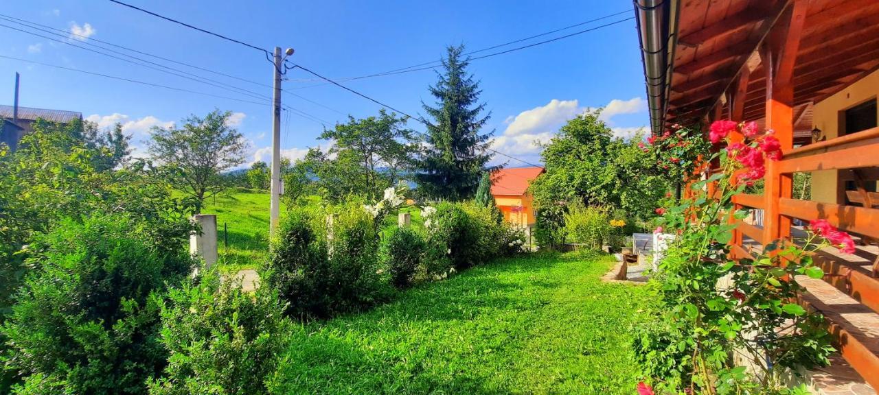 Casa Andreea Si Grigore Ursu Borşa Extérieur photo