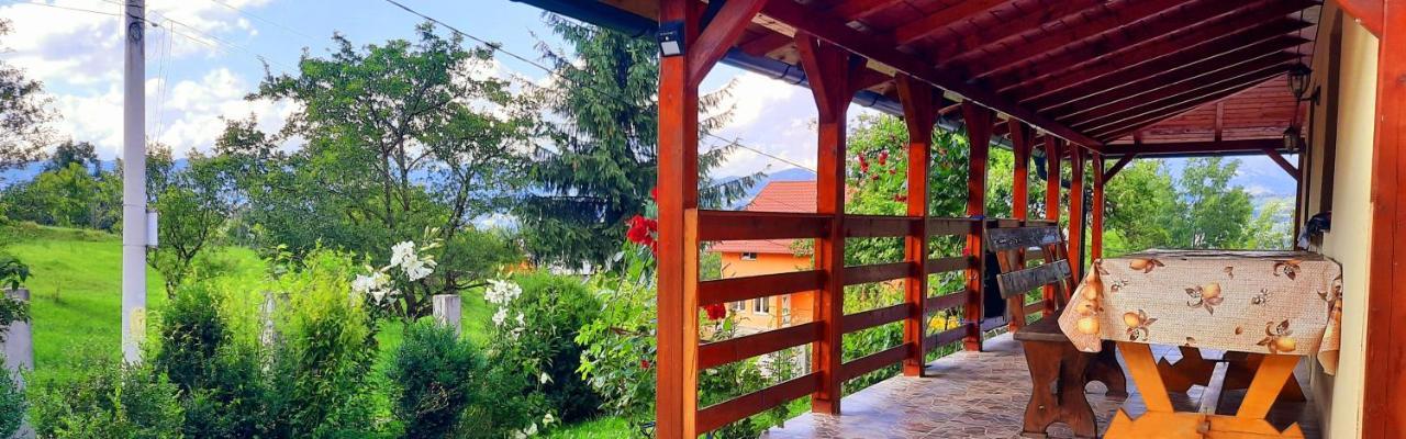 Casa Andreea Si Grigore Ursu Borşa Extérieur photo